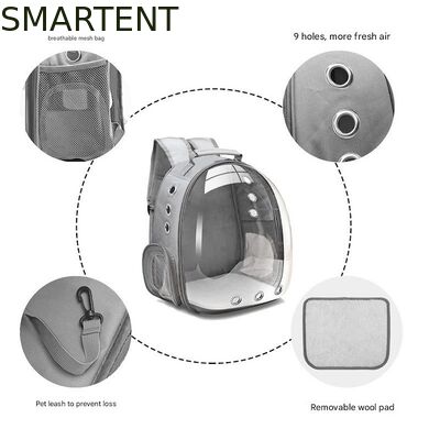 Unisex Durable Washable Non toxic Cute Pet Supplies Featuring Playful Fun Style Hiking Backpack προμηθευτής