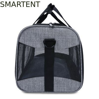 Large Cute Pet Supplies Unisex Indoor Outdoor Gear for Active Pets Featuring Comfortable Collars Leashes and Carriers προμηθευτής