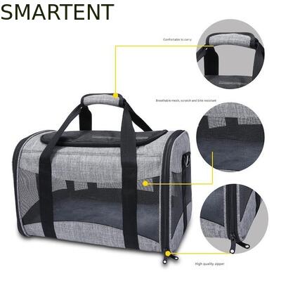 Large Cute Pet Supplies Unisex Indoor Outdoor Gear for Active Pets Featuring Comfortable Collars Leashes and Carriers προμηθευτής