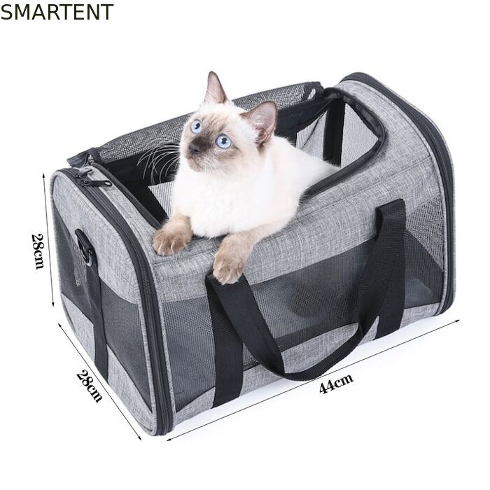 Large Cute Pet Supplies Unisex Indoor Outdoor Gear for Active Pets Featuring Comfortable Collars Leashes and Carriers προμηθευτής